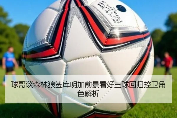 球哥谈森林狼签库明加前景看好三球回归控卫角色解析