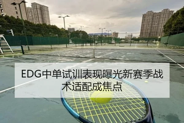 EDG中单试训表现曝光新赛季战术适配成焦点